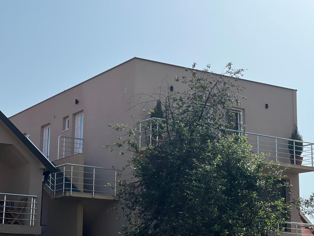 Apartman Scepanovic Apartment Nikšić Екстериор снимка